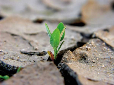 Storia dell'Ambiente: Materiali didattici