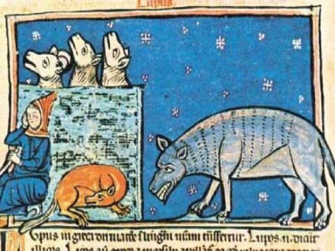 «Lo sguardo animale: L'immagine del Lupo nel Medioevo»