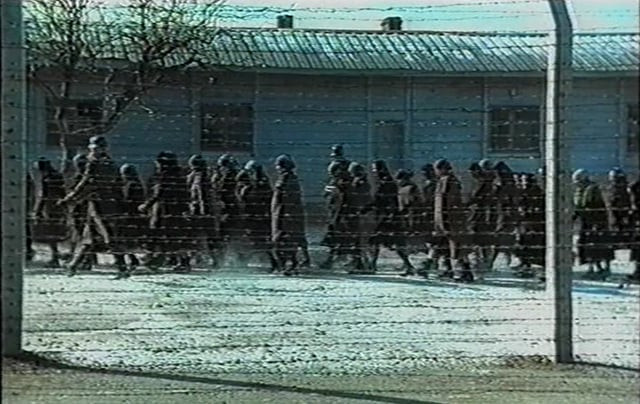 [STERMINIO - SCENA 4B] - Tratta da "Jona che visse nella balena" di Roberto Faenza (1993)